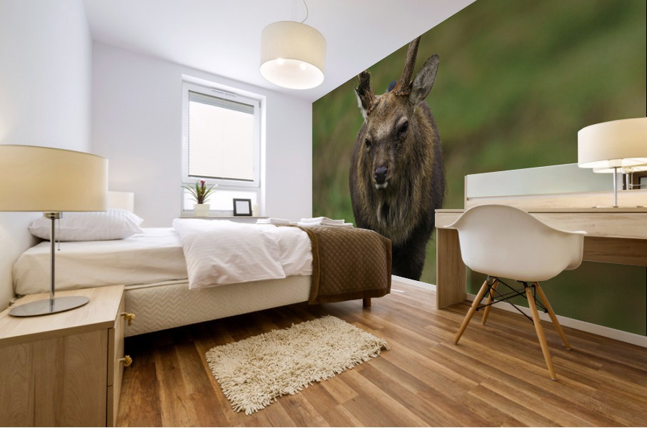 Deer Mural print