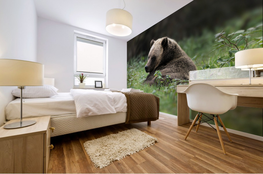 Grizzly Bear Mural print