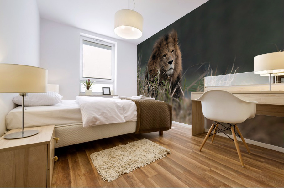 Lion Mural print