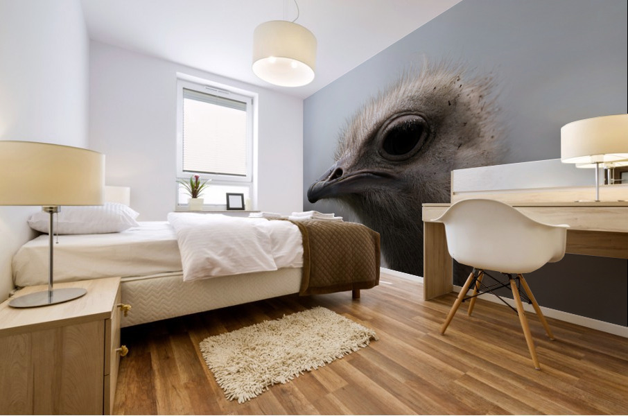 Ostrich Mural print