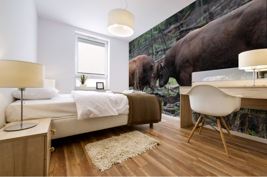 Bulls Mural print