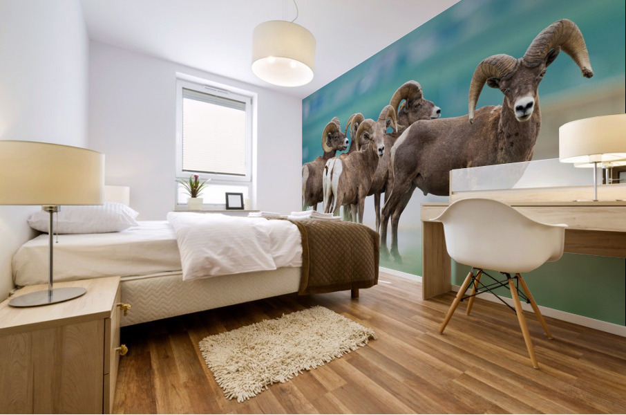 Bighorn Sheep Mural print