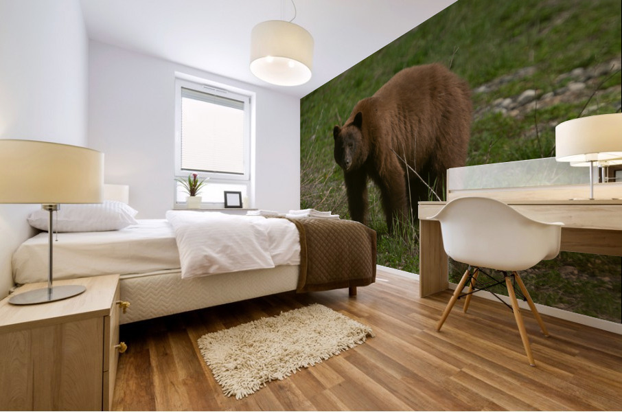 Cinnamon Black Bear Mural print