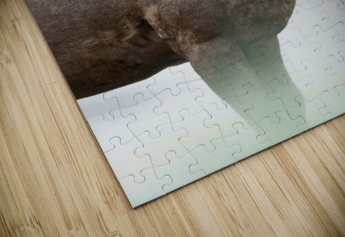 Bighorn Sheep Wesley Allen Shaw puzzle