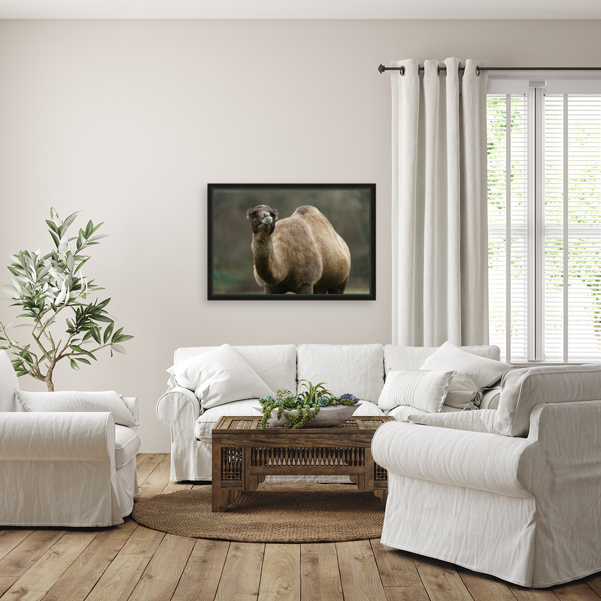 Camel Reproduction