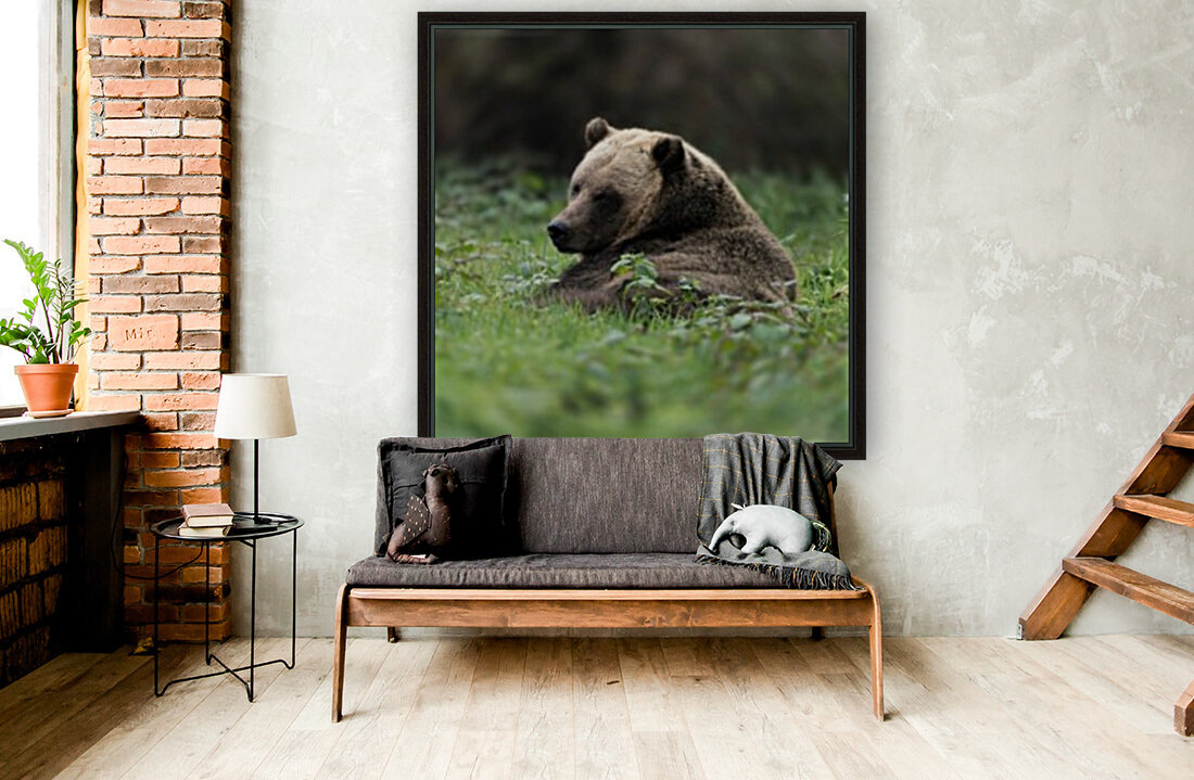 Grizzly Bear Reproduction