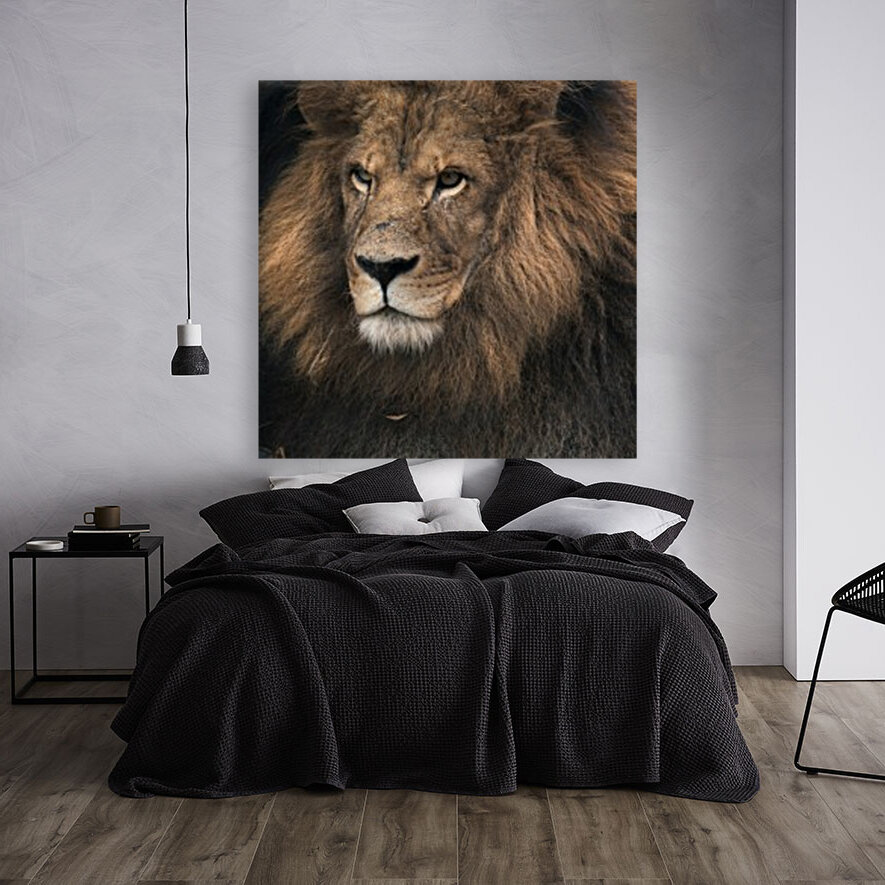 Lion Reproduction