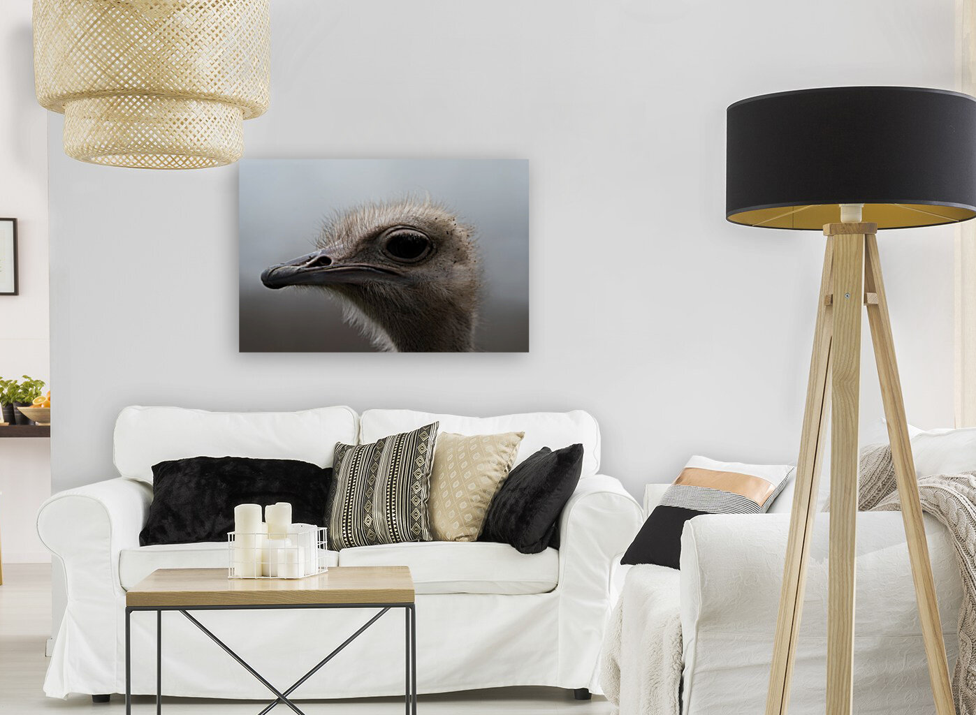 Ostrich Reproduction