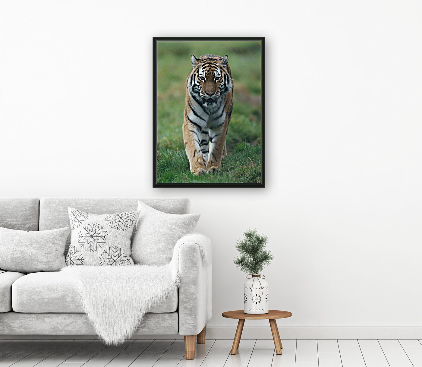 Siberian Tiger Reproduction