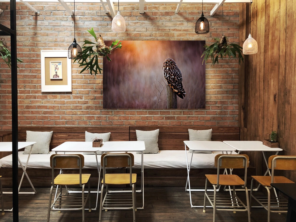 OWL Reproduction