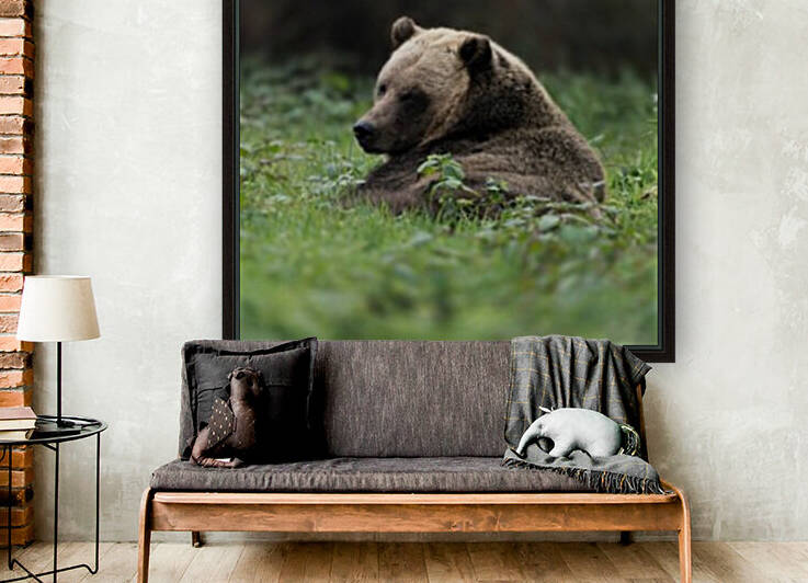 Grizzly Bear by Wesley Allen Shaw