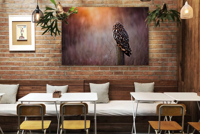 OWL by Wesley Allen Shaw