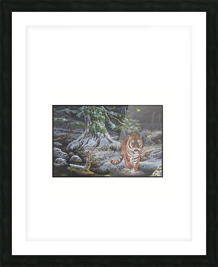 Tiger tiger burning bright Picture Frame print