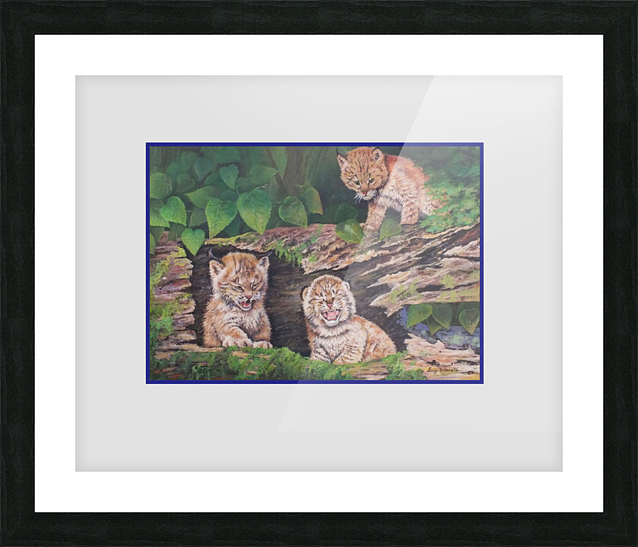 Ready to explore Picture Frame print