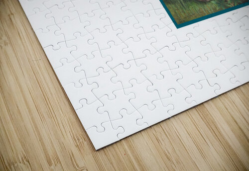 Clouded leopard Luigi Bittarelli puzzle
