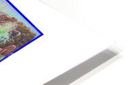   Lost Dory  HD Metal print
