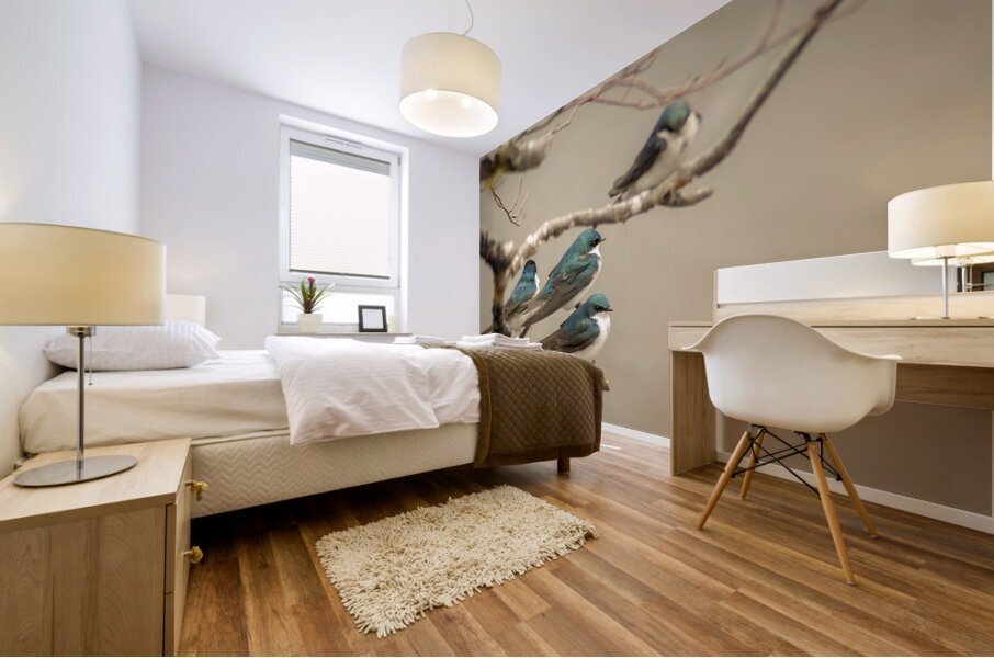 Perched Tree Swallows  Mural print