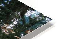 Glamis Castle Grounds HD Metal print