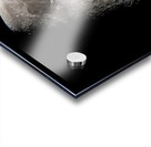 Moon Acrylic print