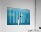 Dragonfly on a Reed Acrylic Print