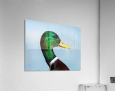 Drake Portrait Acrylic Print