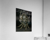 Macro Spider Acrylic Print