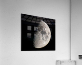 Moon Acrylic Print