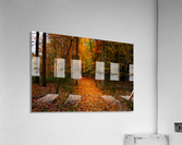 Path in the Woods Acrylic Print