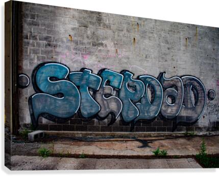 Abandoned Train Station Graffiti Canvas Print