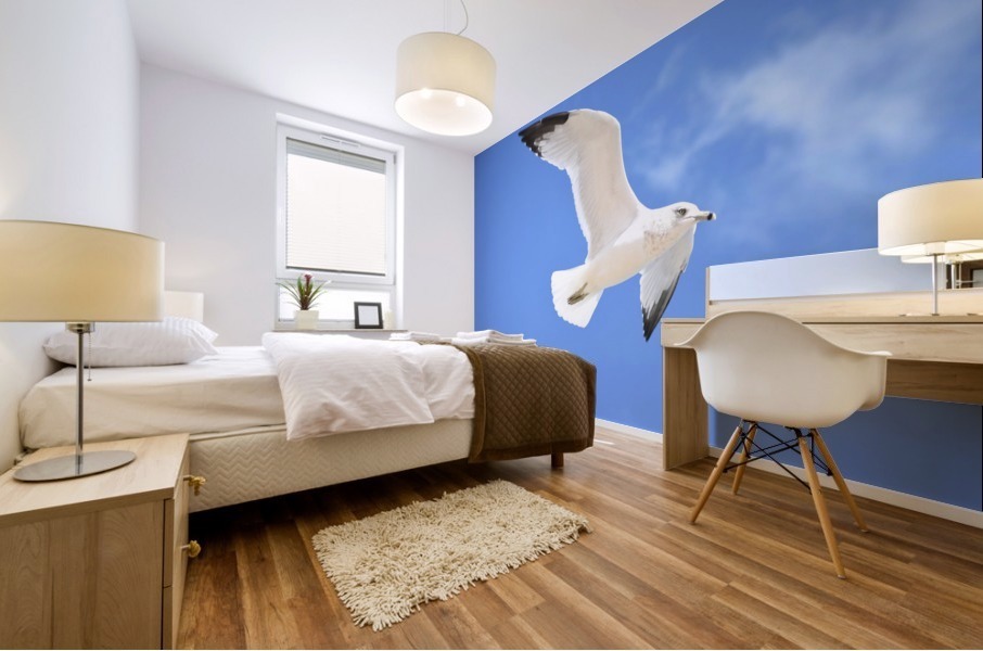 Seagull Overhead Mural print
