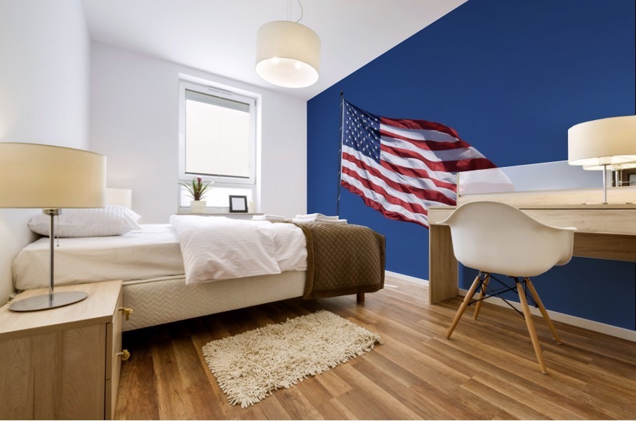 American Flag Mural print