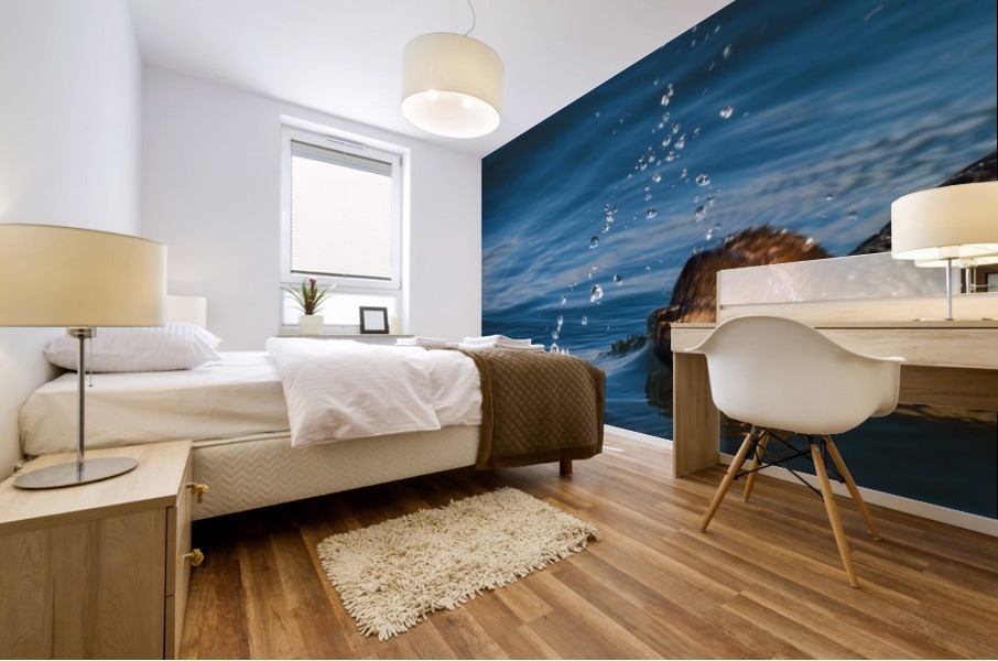 Diving Merganser Mural print