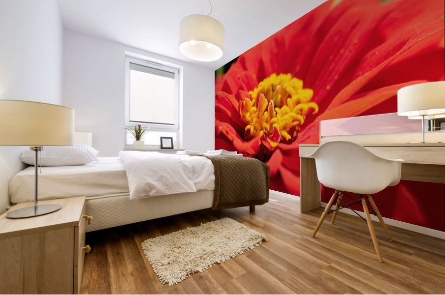 Red Flower Mural print