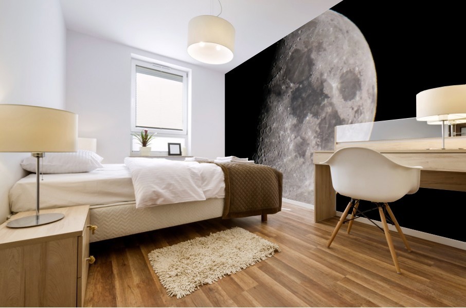 Moon Mural print