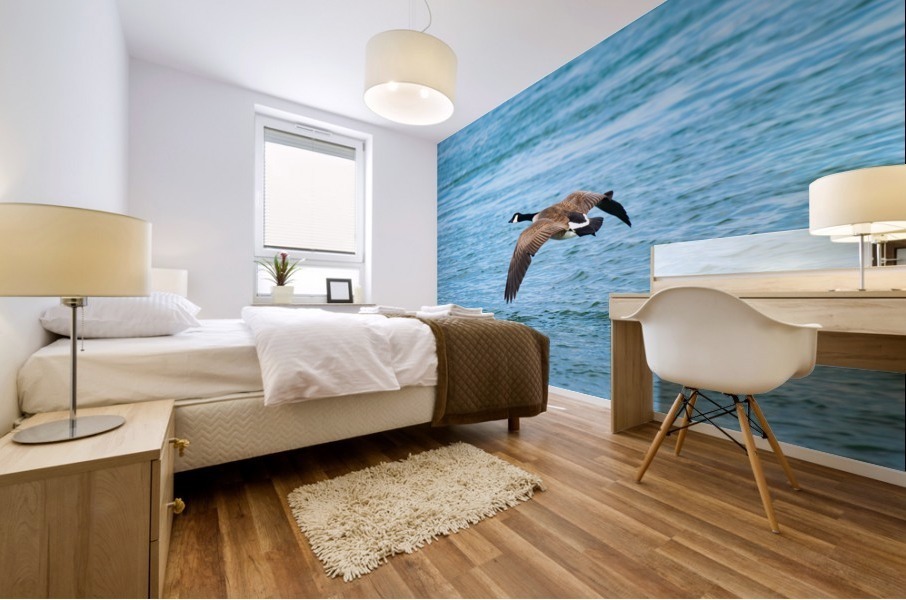 Gliding Geese Mural print