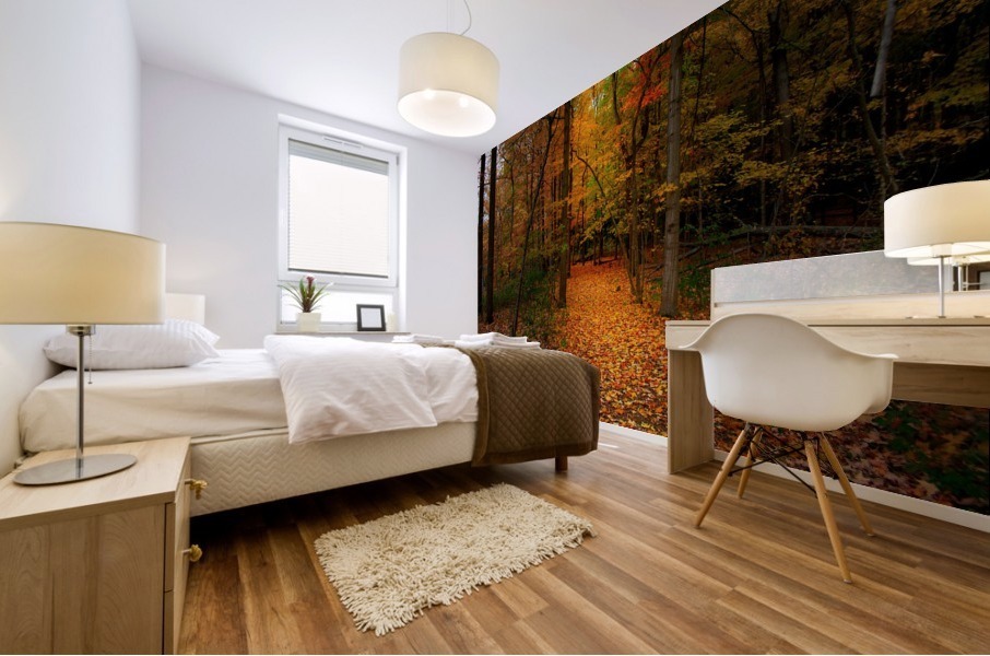 Path in the Woods Mural print