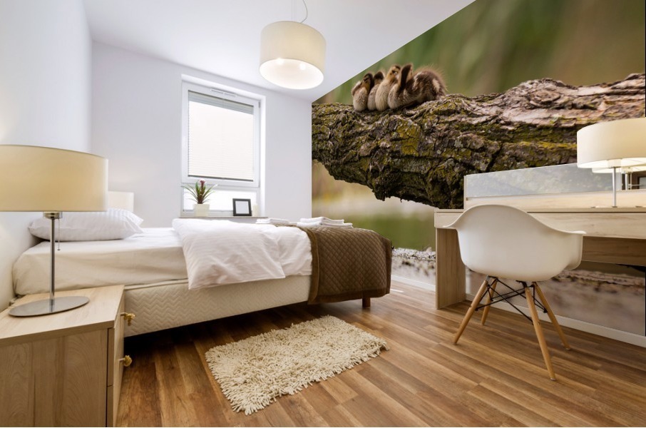 Ducklings on a Branch Mural print