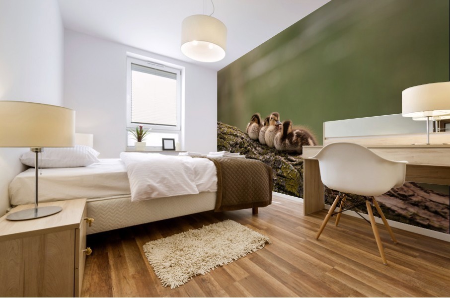 Sleepy Ducklings Mural print