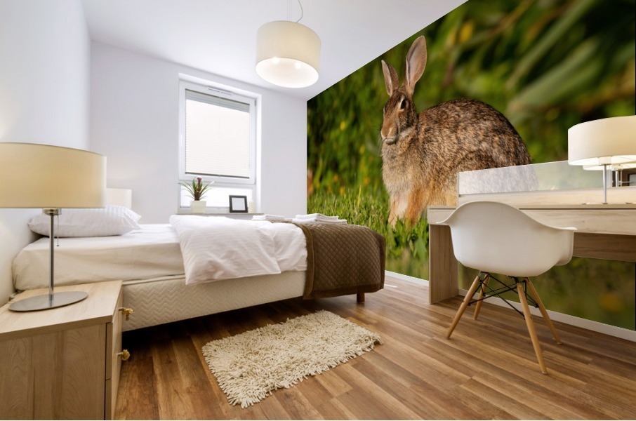 Bunny Portrait Mural print