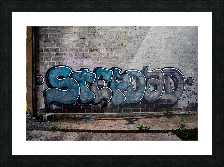 Abandoned Train Station Graffiti Picture Frame print