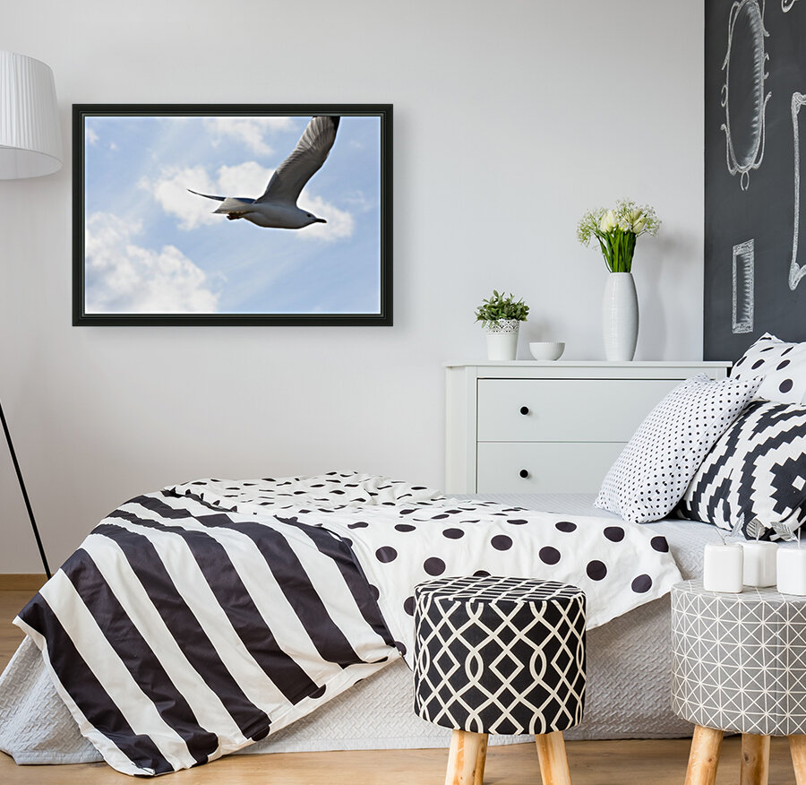 Flying Seagull Reproduction