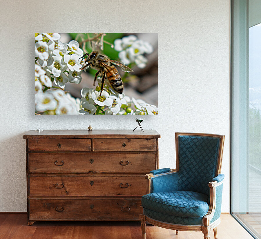 Pollinating Bee Reproduction