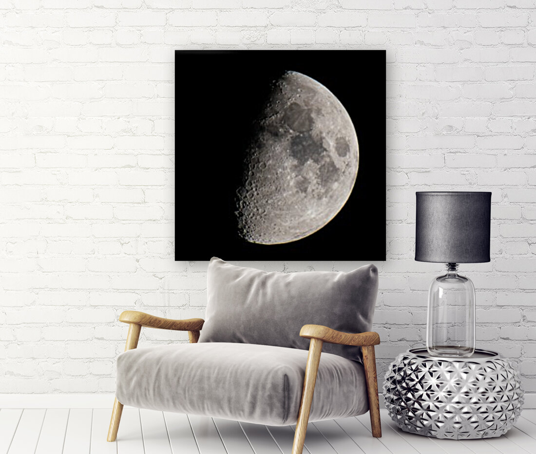 Moon Reproduction