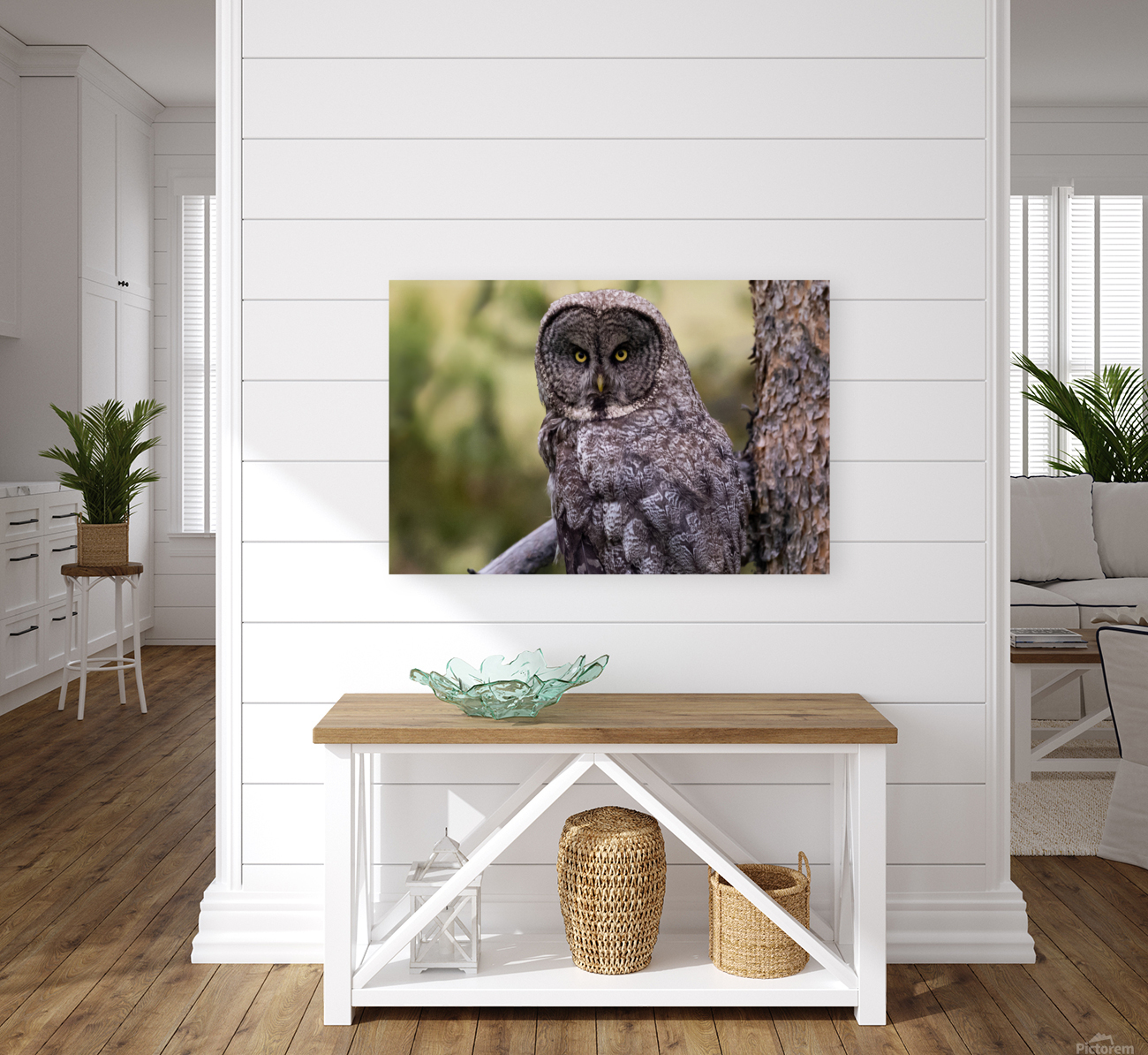 Great Gray Owl Reproduction