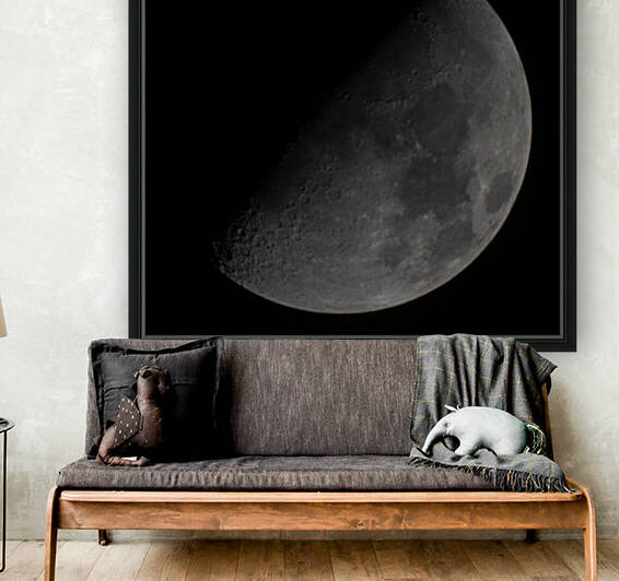 Dark Moon Reproduction