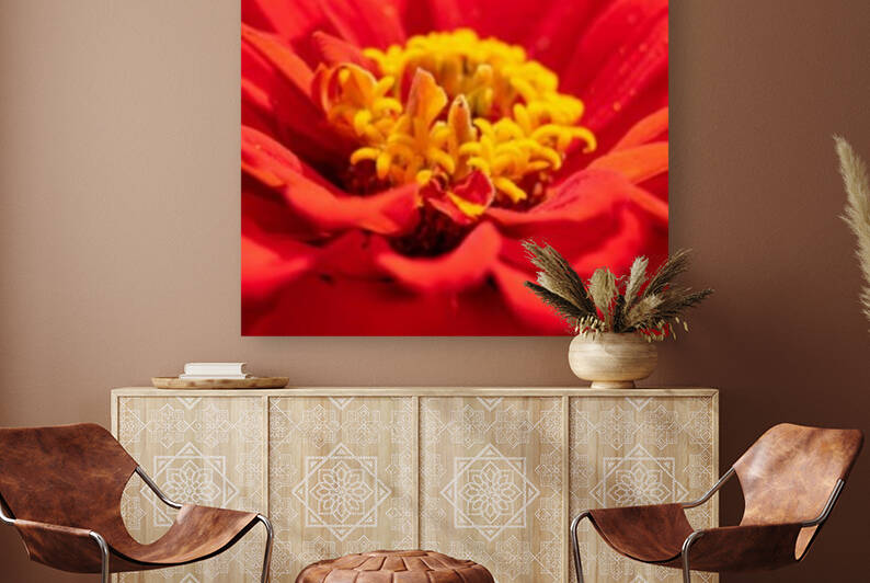 Red Flower Reproduction