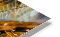Dragonfly Macro HD Metal print