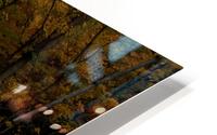 Path in the Woods HD Metal print