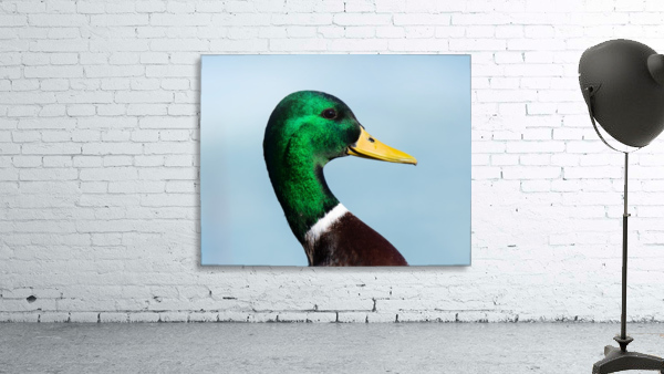 Drake Portrait Wall Preview