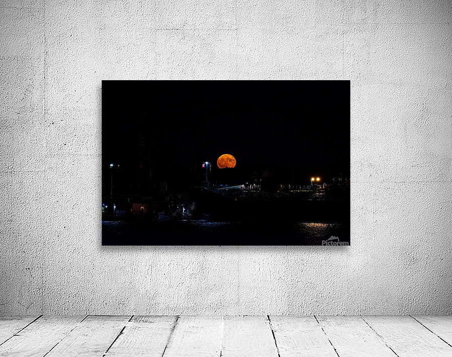 Hunters Moon Wall Preview